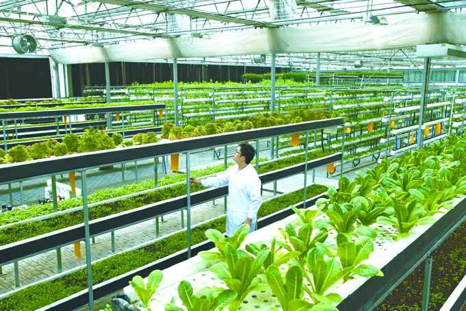 2025年度绍兴市农业技术与农业工程专业正高级、高级专业技术职务任职资格审核、评审推荐评前公示